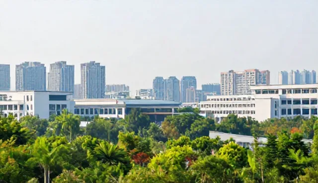 企业级APP开发中域名配置的常见误区